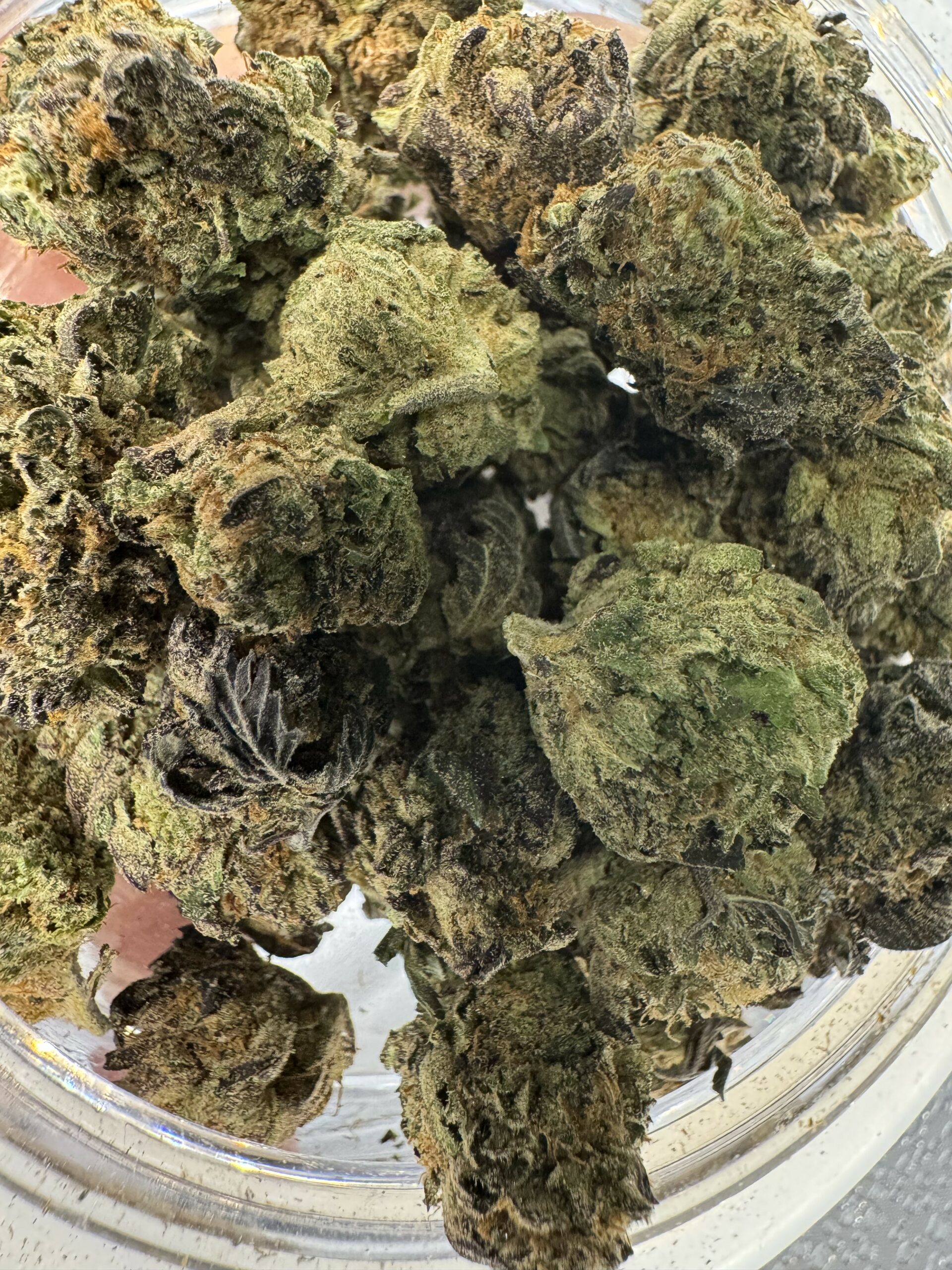 Purple Kush