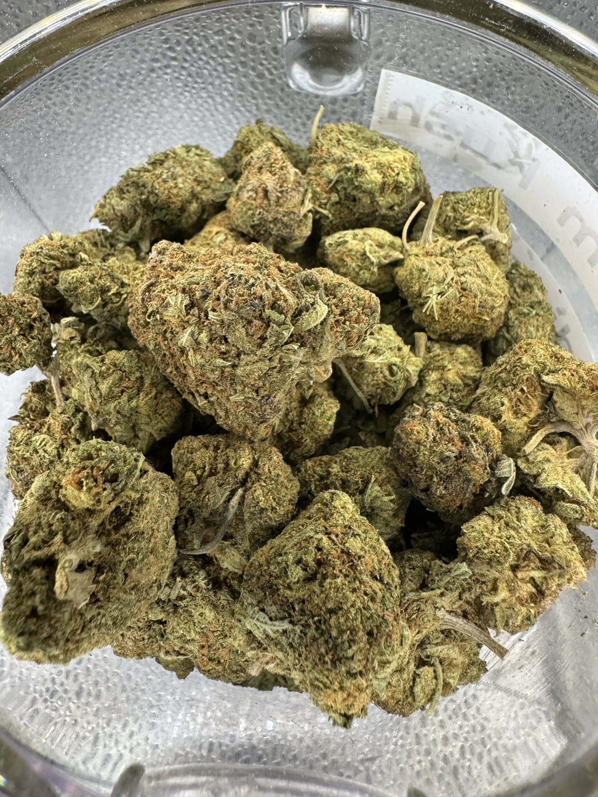 Rainbow Zkittles