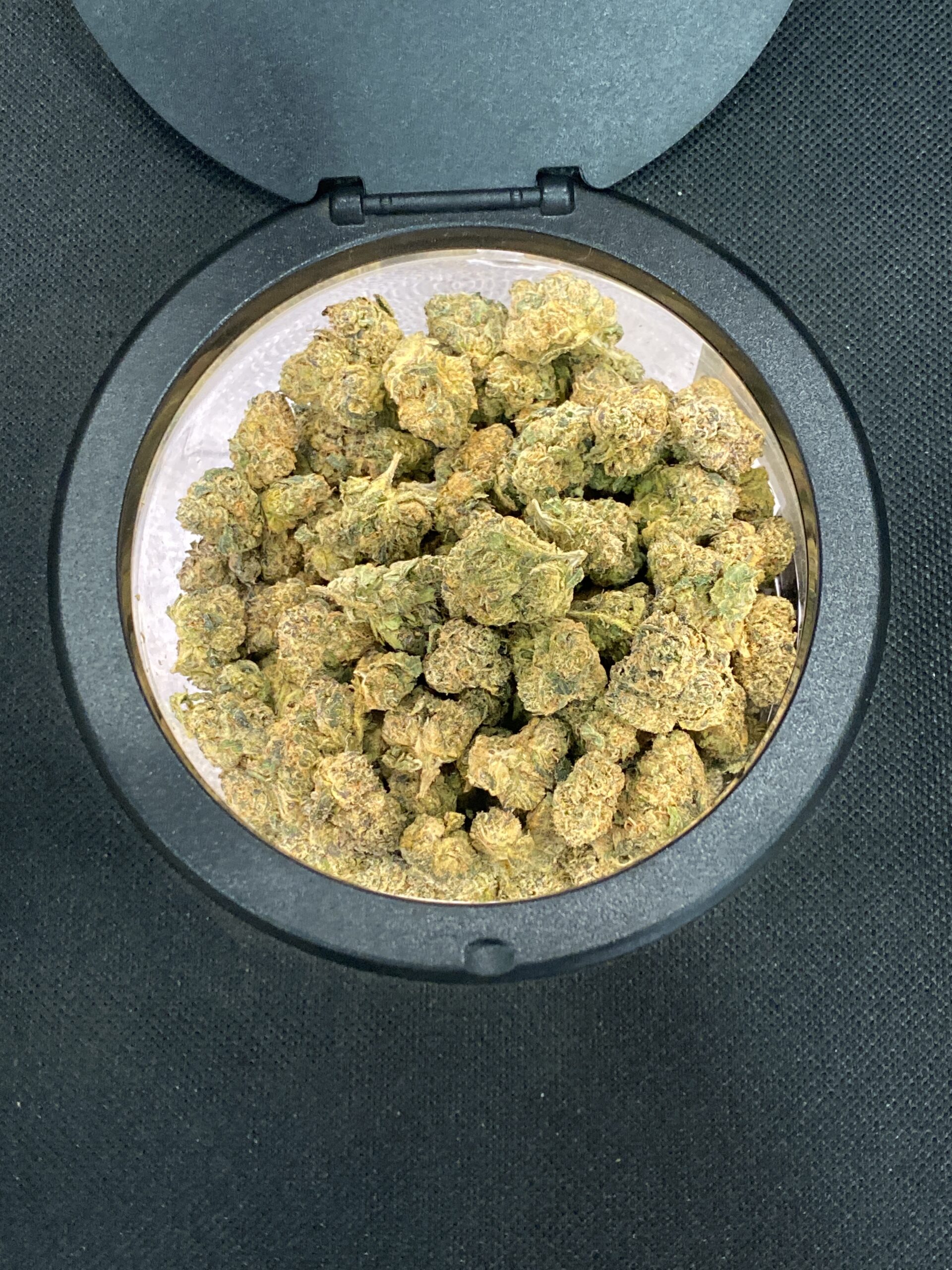 Taffy Tango